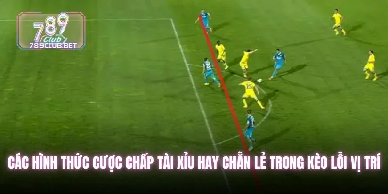 Kèo Việt Vị Cùng 5 Chiến Thuật Soi Cầu Bóng Đá Đỉnh Cao Các hình thức cược chấp tài xỉu hay chẵn lẻ trong kèo lỗi vị trí