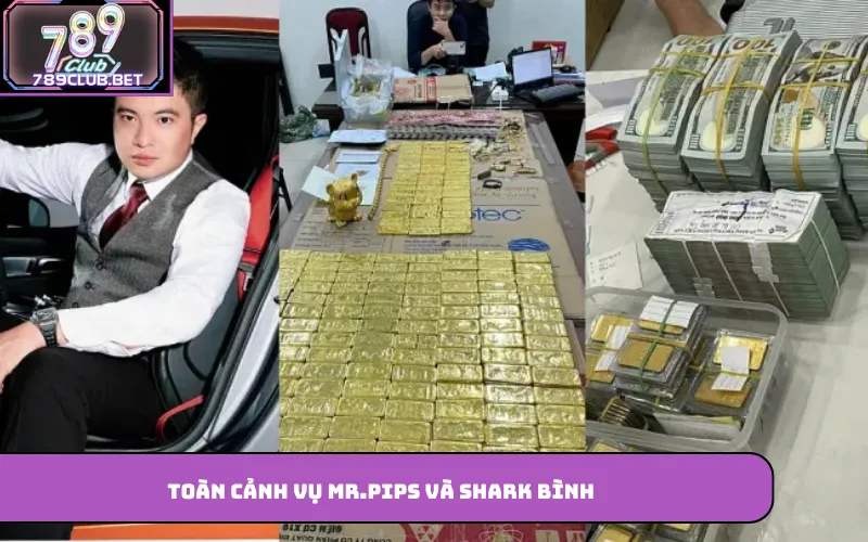Vụ Việc Của Mr.Pips Và Bài Học Lựa Chọn Nền Tảng 789club Toàn cảnh vụ Mr.Pips và Shark Bình